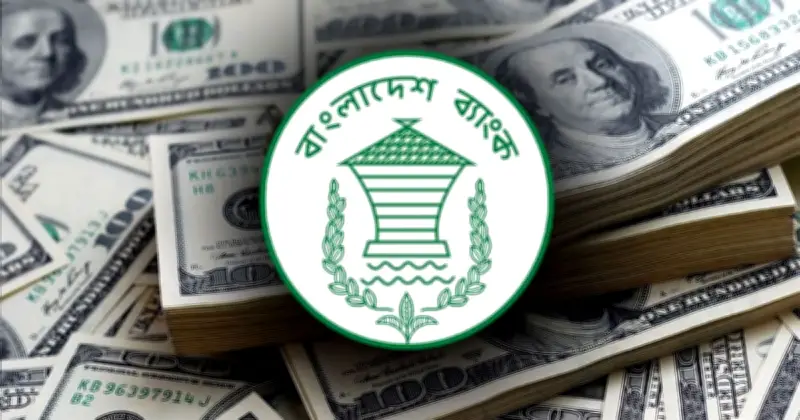 বিদেশি ঋণের পরিমাণ বেড়ে দাঁড়িয়েছে ১১৩.৫২ বিলিয়ন ডলার, বাংলাদেশ ব্যাংকের তথ্য