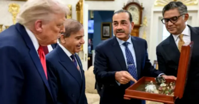 মধ্যপ্রাচ্য সংকটে মধ্যস্থতাকারী হিসেবে আবির্ভূত পাকিস্তান: শান্তি প্রক্রিয়ার নতুন নায়ক