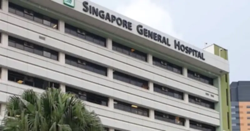 সিঙ্গাপুরে সংকটাপন্ন স্পিকার হাফিজ উদ্দিন আহমদের সহধর্মিণী দিলারা হাফিজ, ভেন্টিলেশনে