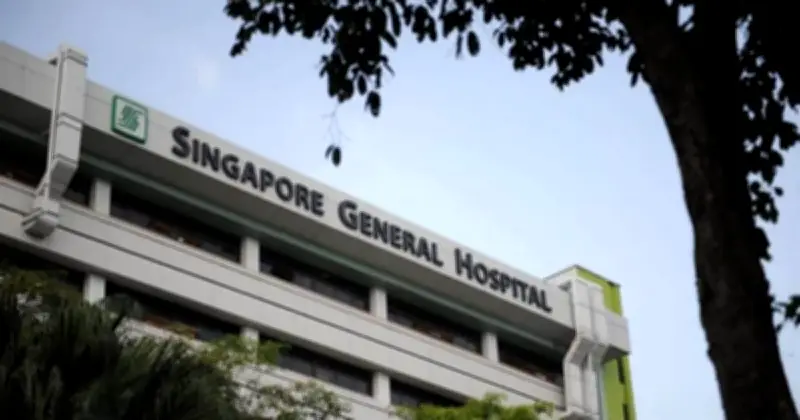 স্পিকার হাফিজ উদ্দিনের সহধর্মিণী দিলারা হাফিজ সিঙ্গাপুরে সংকটাপন্ন, বিএনপি নেতা মির্জা আব্বাসও একই হাসপাতালে