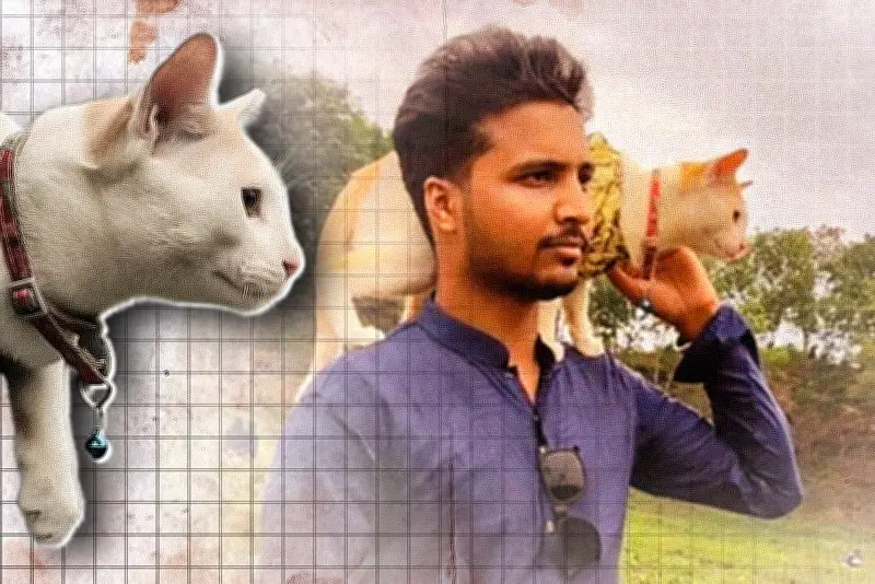 বাংলাদেশে অনলাইন শিক্ষার নতুন সম্ভাবনা: প্রযুক্তির মাধ্যমে শিক্ষার প্রসার