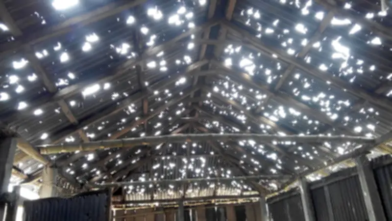 লালমনিরহাটে শিলাবৃষ্টিতে ফসল ও ঘরবাড়ির ব্যাপক ক্ষতি, জানুন কেন ও কীভাবে হয় এই প্রাকৃতিক ঘটনা