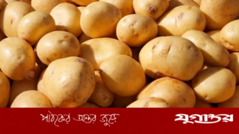 ভিয়েতনামে বাংলাদেশি আলু রপ্তানির বাজার উন্মুক্ত, বাণিজ্য ঘাটতি হ্রাসের সম্ভাবনা