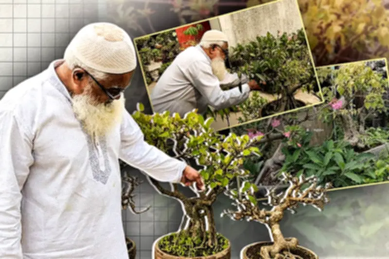 বাংলাদেশে অনলাইন শিক্ষার নতুন সম্ভাবনা: প্রযুক্তির মাধ্যমে শিক্ষার প্রসার