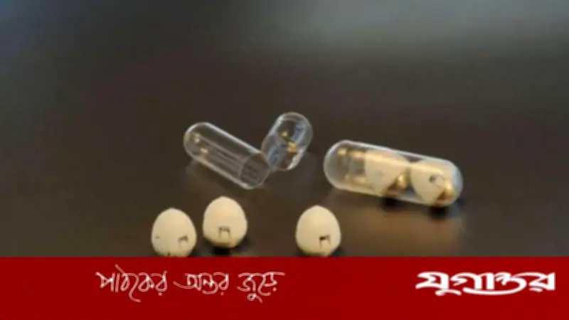 ডায়াবেটিস চিকিৎসায় বিপ্লব: ইনসুলিন ট্যাবলেটের সম্ভাবনা নিয়ে জাপানের গবেষণা