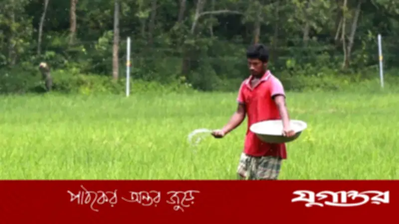 মধ্যপ্রাচ্যের যুদ্ধে বাংলাদেশে সার সংকটের শঙ্কা: সরকারের আশ্বাস ও বাস্তবতা