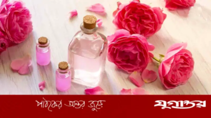ত্বকের যত্নে গোলাপজল: ব্যবহারের কার্যকর পদ্ধতি ও উপকারিতা