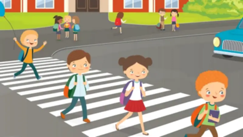 জেব্রা ক্রসিং থেকে পুফিন: পথচারী পারাপারের নকশা ও পাখির নামের রহস্য