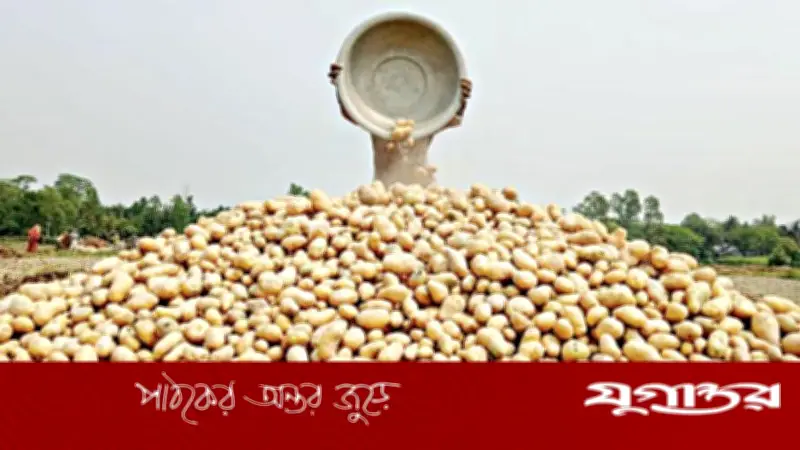 বাংলাদেশের আলু রপ্তানির নতুন গন্তব্য: ভিয়েতনামের বাজার উন্মুক্ত