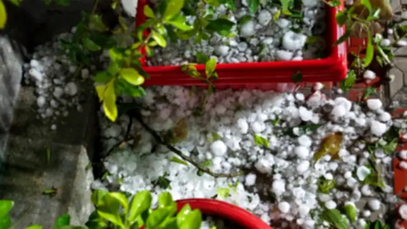 নীলফামারীতে কালবৈশাখীতে ফসল ক্ষতি, পুলিশ আহত, পররাষ্ট্রনীতির বহুপাক্ষিকতা ও অন্যান্য খবর