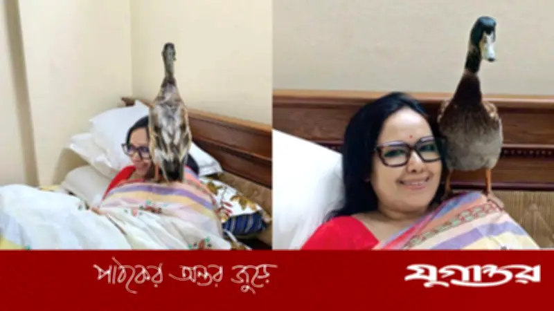 ‘ওই যে হাঁস আপা আসছে’—রুমিন ফারহানার নির্বাচনী জয় ও বিএনপি বহিষ্কারের গল্প