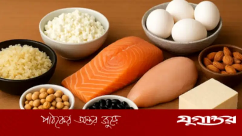 ৪০-এর পর সুস্থ থাকতে প্রোটিনের গুরুত্ব: কেন এটি অপরিহার্য