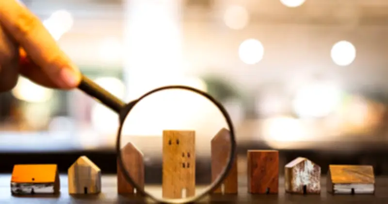 সাবেক ভূমিমন্ত্রীর সম্পত্তি সাম্রাজ্য ও এমএফআই-এর 'আকর্ষণীয়' সংযোগ নিয়ে বিশ্লেষণ