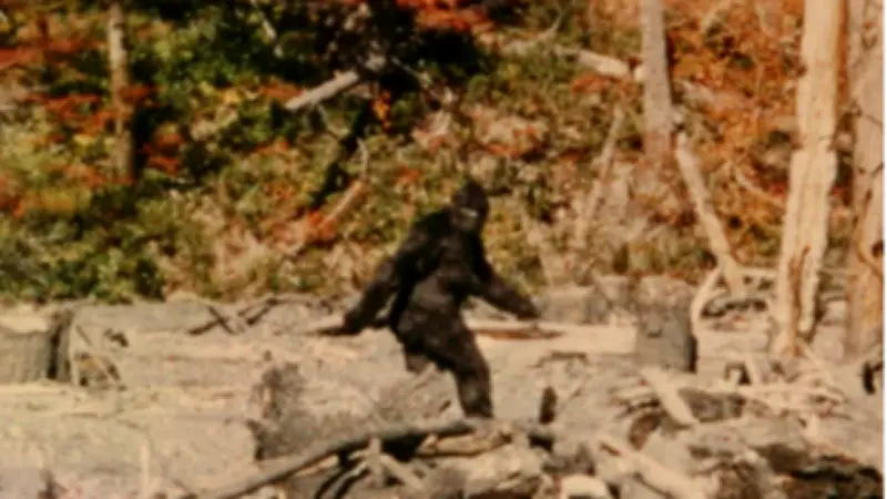 বিগফুট রহস্য: উত্তর আমেরিকার জঙ্গলে লুকিয়ে থাকা দানবাকৃতির প্রাণীর গল্প