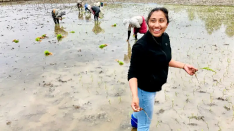 জাতিসংঘের অনলাইন ভলান্টিয়ার প্রোগ্রাম ২০২৬: তরুণদের জন্য বিশ্বব্যাপী সুযোগ