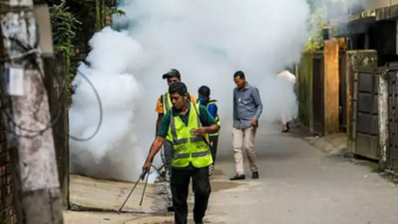 চট্টগ্রামে মশার উৎপাত: সিটি করপোরেশনের ওষুধ ছিটানো সত্ত্বেও বাড়ছে যন্ত্রণা