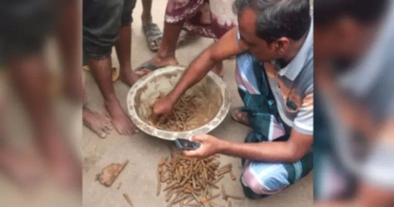 নওগাঁর বদলগাছীতে মাটি খুঁড়ে উদ্ধার ৩২৫ রাউন্ড রাইফেলের গুলি, এলাকায় চাঞ্চল্য