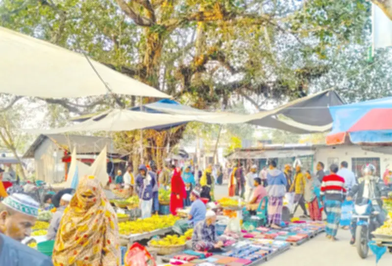 শতবর্ষী বিল্বগ্রাম হাট: অশ্বত্থগাছের ছায়ায় গ্রামীণ অর্থনীতি ও সম্প্রীতির মেলবন্ধন