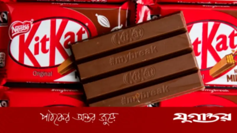 ইউরোপে ১২ টন কিটক্যাট চুরি: ইস্টারের আগে সরবরাহে ঘাটতির শঙ্কা