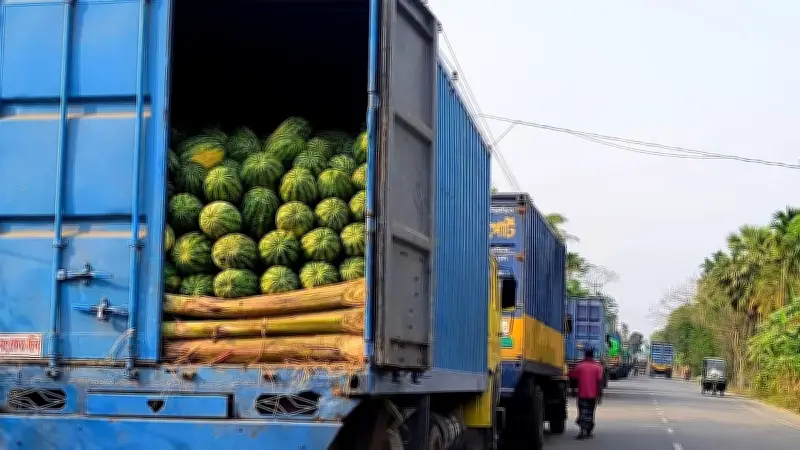 ভোলার ইলিশা ফেরিঘাটে তরমুজবাহী ট্রাক আটকে, পচন ও লোকসানের মুখে কৃষক-ব্যবসায়ী