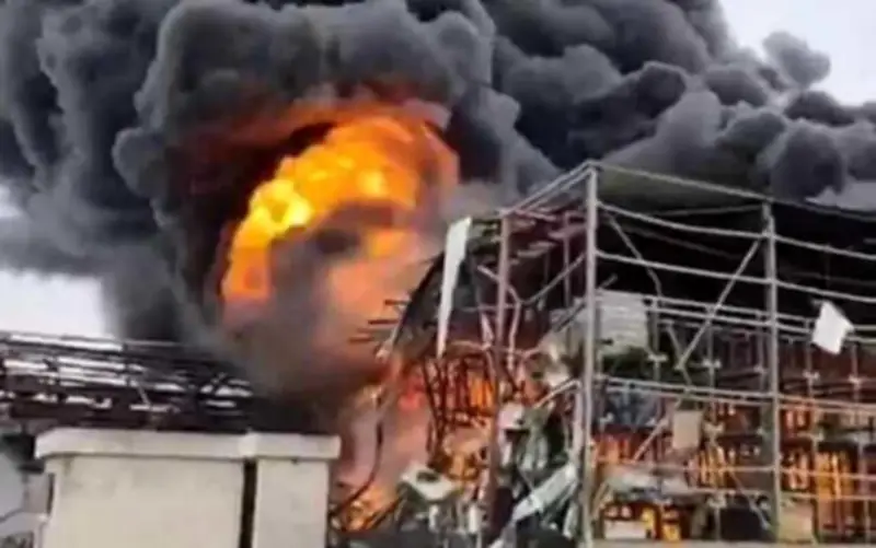 বিশ্বজুড়ে অনলাইন শিক্ষার চাহিদা বাড়ছে, নতুন সম্ভাবনার দ্বার খুলছে