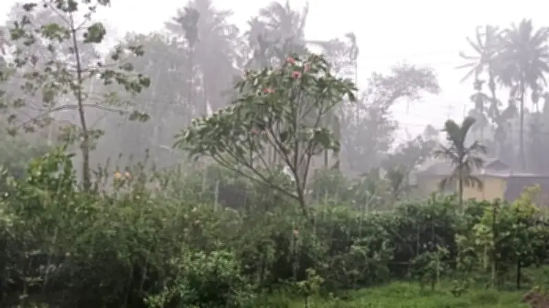 বিশ্বজুড়ে হামের ভয়াবহ সংক্রমণ বৃদ্ধি, নেপথ্যে প্রধান কারণসমূহ বিশ্লেষণ