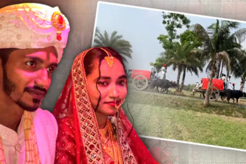 বাংলাদেশের শিক্ষা ব্যবস্থায় ডিজিটাল রূপান্তর: অনলাইন শিক্ষার নতুন সম্ভাবনা