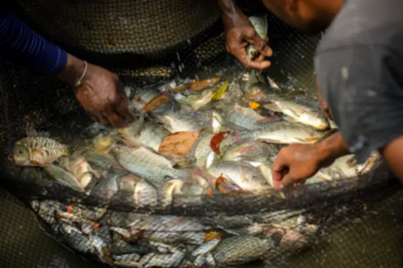 বাংলাদেশে অনলাইন শিক্ষার নতুন সম্ভাবনা: প্রযুক্তির মাধ্যমে শিক্ষার প্রসার