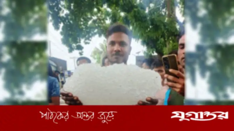 ঝিনাইদহে কালবৈশাখীতে এক মণ ওজনের শিলাখণ্ড, কৃষকের উদ্ধার