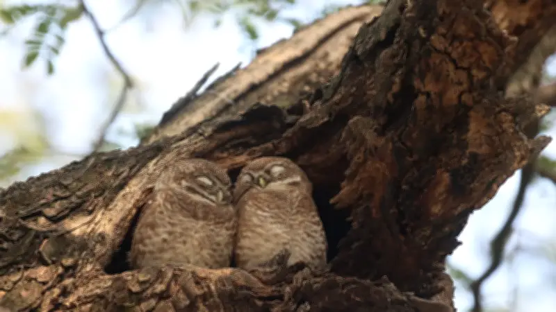 বৈদ্যুতিক খুঁটি থেকে হারানো লঞ্চঘাট: নাগরিকদের তোলা ছবিতে বাংলাদেশের চিত্র