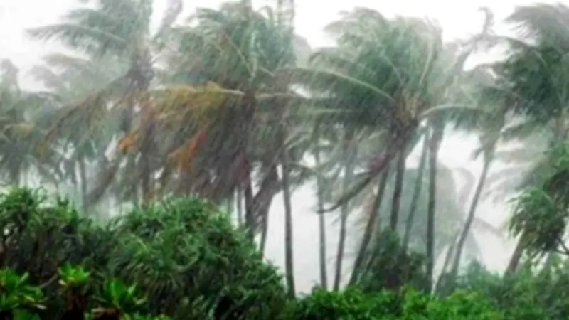 দেশের বিভিন্ন অঞ্চলে দমকা হাওয়াসহ বৃষ্টির আভাস, সংসদে নামাজে গিয়ে জুতা হারানো ও নিউজিল্যান্ড দল ঘোষণা