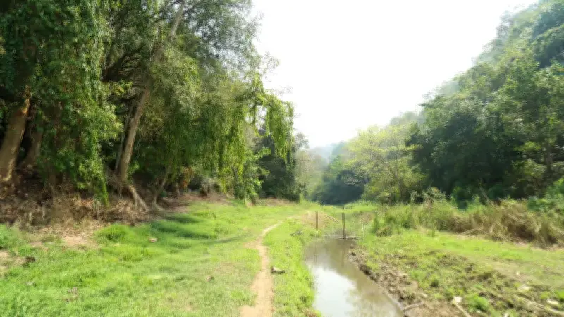 বনের ভেতর দিয়ে বয়ে চলা ছড়া: গ্রামবাসীর পানির উৎস ও জীবনের অবিচ্ছেদ্য অংশ