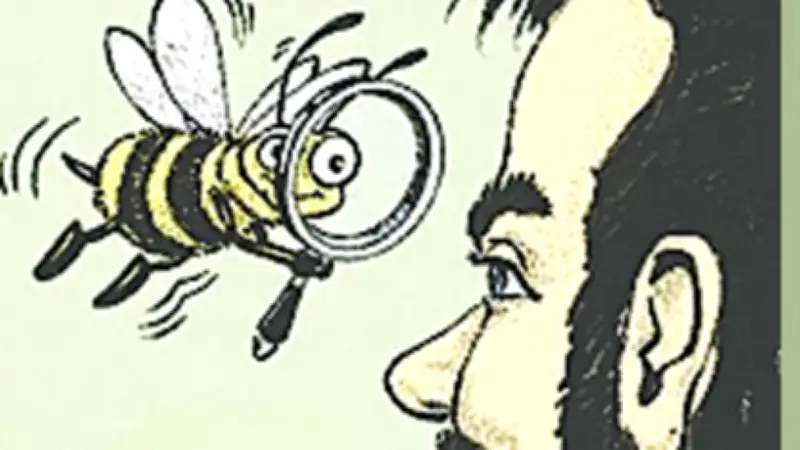 বাংলাদেশের ক্রিকেটারদের জন্য নতুন আইপিএল নিলামের সুযোগ, বিসিবি সভাপতি নাজমুল হাসান ঘোষণা দিলেন