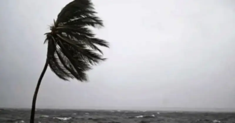 আবহাওয়া অধিদপ্তরের সতর্কতা: ৭ অঞ্চলে ৬০ কিমি বেগে ঝোড়ো হাওয়া, বজ্রসহ বৃষ্টির পূর্বাভাস