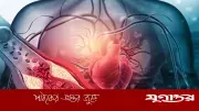 রক্তে কোলেস্টেরল নিয়ন্ত্রণে রাখার কার্যকরী উপায় ও জীবনযাত্রার টিপস