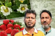 বাংলাদেশে অনলাইন শিক্ষার নতুন সম্ভাবনা: প্রযুক্তির মাধ্যমে শিক্ষার প্রসার