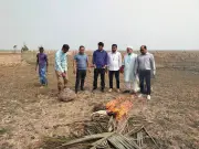 মৌলভীবাজারে পাখি শিকারীদের নির্মমতা: চোখ সেলাই করা ঘুঘু উদ্ধার