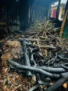 জাতীয় ছাত্রশক্তির নেতার গ্রামের বাড়িতে আগুন: আওয়ামী লীগের বিরুদ্ধে অভিযোগ