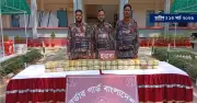 কক্সবাজারে বিজিবির অভিযানে ১১ কোটি ৪০ লাখ টাকার ইয়াবা জব্দ