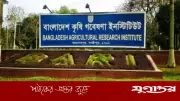 বাংলাদেশ কৃষি গবেষণা ইনস্টিটিউটে ১৯১টি পদে নিয়োগ বিজ্ঞপ্তি প্রকাশ