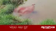 খুলনার পাইকগাছায় পুলিশ কর্মকর্তার মাকে হত্যার পর পুকুরে ফেলা, তদন্ত চলছে