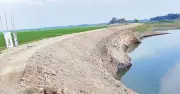 সিলেটে বৃষ্টিতে স্বস্তি, হাওরে বাঁধ ফাটলে কৃষকের উদ্বেগ