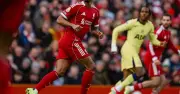 প্রিমিয়ার লিগে আবারও শেষ মুহূর্তে গোল খেয়ে লিভারপুলের বিপর্যয়, রিচার্লিসনের জোড়া গোলে ড্র
