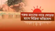 প্রথম আলোর ভিডিও বিভাগে বাংলাদেশের নতুন সংবাদ প্রকাশিত হয়েছে