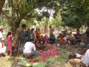 রাজশাহীতে মাংস সমিতির মাধ্যমে রোজার ঈদে গরু-খাসি জবাই ও মাংস বন্টন