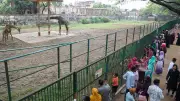 ঈদের দিনে ঢাকা চিড়িয়াখানায় মানুষের ঢল, শিশুদের আনন্দে মাতোয়ারা পরিবেশ