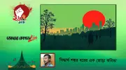 বাংলাদেশের অর্থনীতিতে রেমিট্যান্সের অবদান ও চ্যালেঞ্জ: একটি বিশ্লেষণ