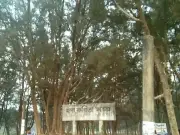 কক্সবাজার সৈকতে কবিতা চত্বরে নবজাতকের মরদেহ উদ্ধার, পুলিশের তদন্ত চলছে