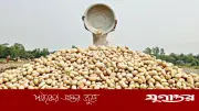 বাংলাদেশের আলু রপ্তানির নতুন গন্তব্য: ভিয়েতনামের বাজার উন্মুক্ত