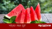 তরমুজের বীজ খেয়ে ফেললে ক্ষতি নয়, বরং উপকারই হয়